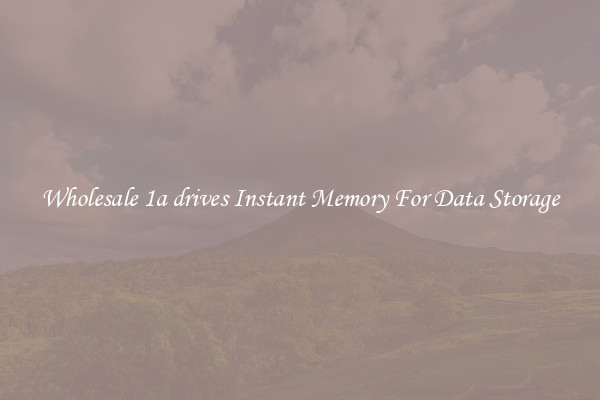 Wholesale 1a drives Instant Memory For Data Storage