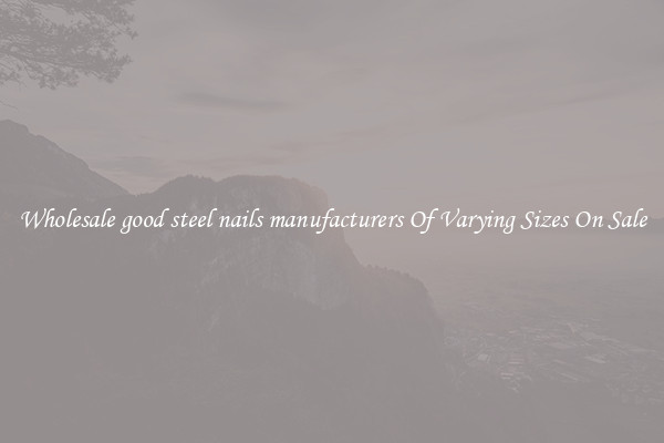 Wholesale good steel nails manufacturers Of Varying Sizes On Sale