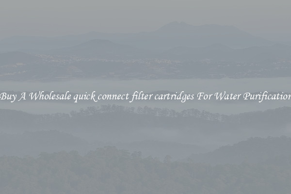 Buy A Wholesale quick connect filter cartridges For Water Purification