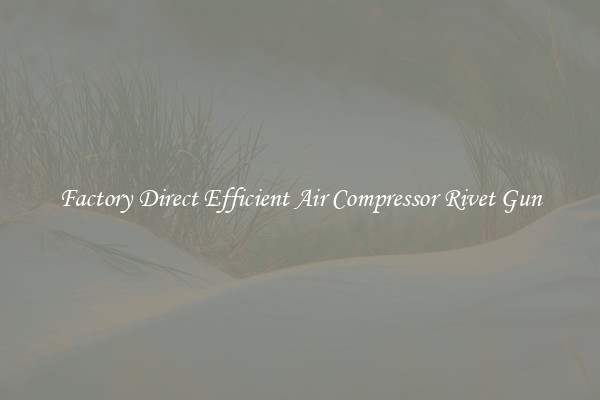 Factory Direct Efficient Air Compressor Rivet Gun