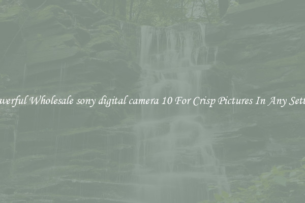Powerful Wholesale sony digital camera 10 For Crisp Pictures In Any Setting