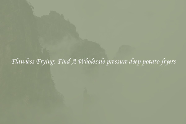 Flawless Frying: Find A Wholesale pressure deep potato fryers