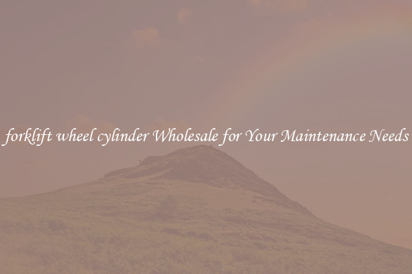 forklift wheel cylinder Wholesale for Your Maintenance Needs
