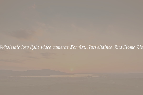 Wholesale low light video cameras For Art, Survellaince And Home Use