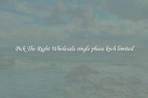 Pick The Right Wholesale single phase kwh limited