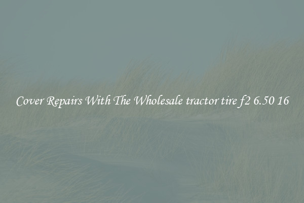  Cover Repairs With The Wholesale tractor tire f2 6.50 16 