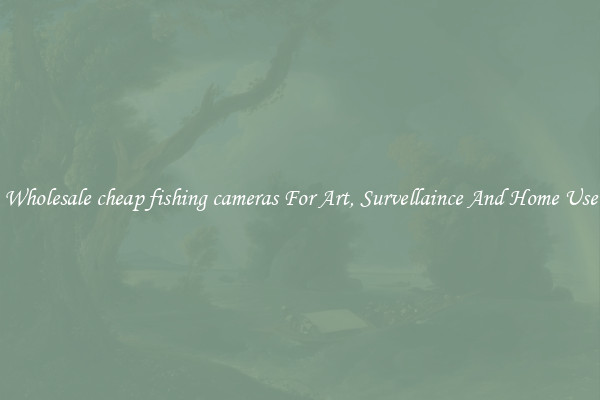 Wholesale cheap fishing cameras For Art, Survellaince And Home Use
