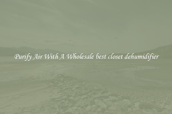 Purify Air With A Wholesale best closet dehumidifier