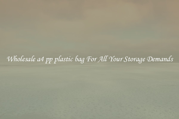 Wholesale a4 pp plastic bag For All Your Storage Demands