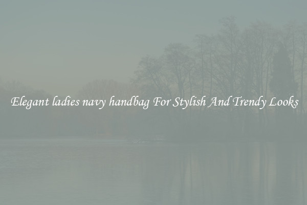 Elegant ladies navy handbag For Stylish And Trendy Looks