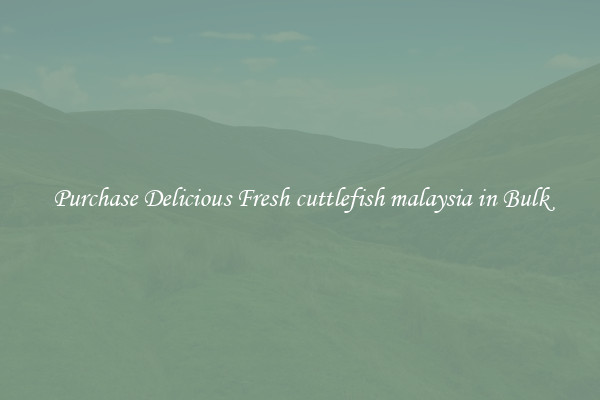 Purchase Delicious Fresh cuttlefish malaysia in Bulk