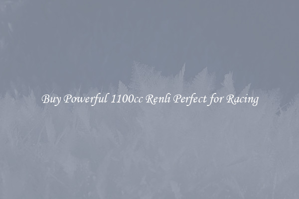 Buy Powerful 1100cc Renli Perfect for Racing