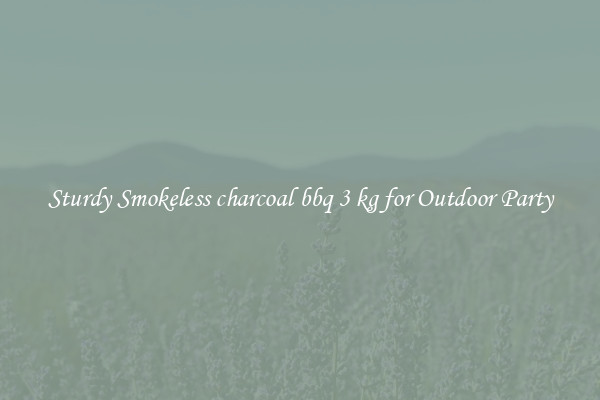 Sturdy Smokeless charcoal bbq 3 kg for Outdoor Party