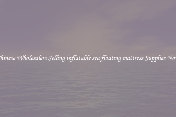 Chinese Wholesalers Selling inflatable sea floating mattress Supplies Now