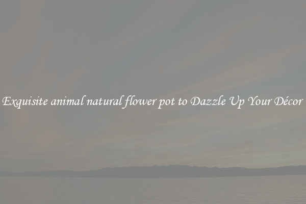 Exquisite animal natural flower pot to Dazzle Up Your Décor 