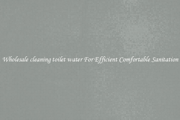 Wholesale cleaning toilet water For Efficient Comfortable Sanitation