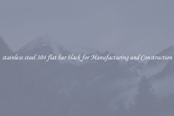 stainless steel 304 flat bar black for Manufacturing and Construction