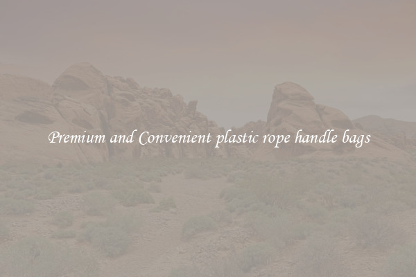 Premium and Convenient plastic rope handle bags