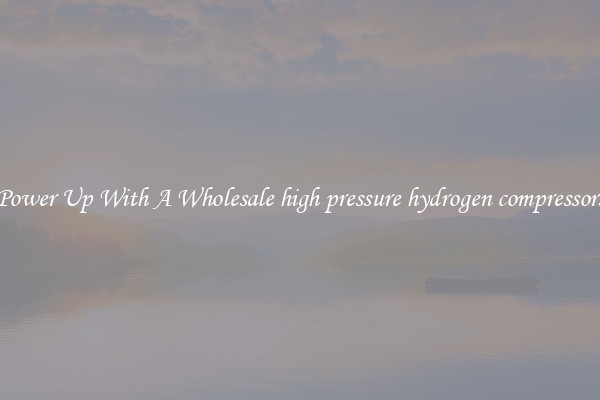 Power Up With A Wholesale high pressure hydrogen compressors