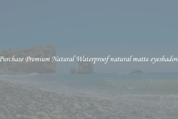 Purchase Premium Natural Waterproof natural matte eyeshadow