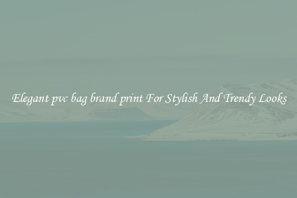 Elegant pvc bag brand print For Stylish And Trendy Looks