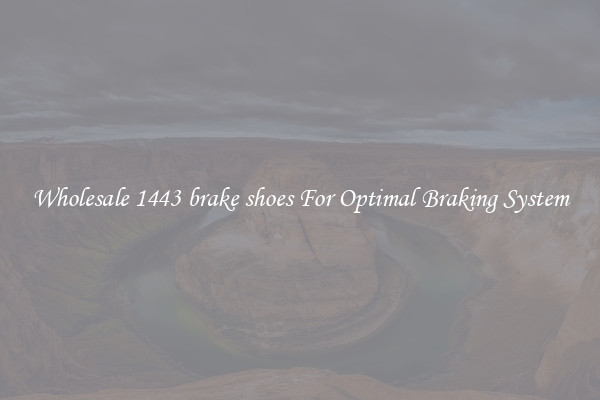 Wholesale 1443 brake shoes For Optimal Braking System