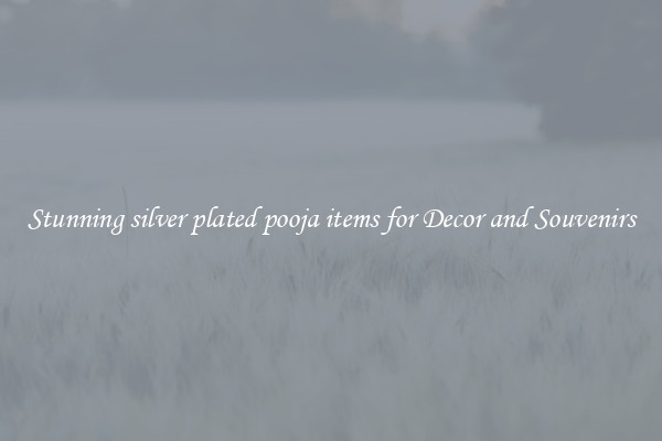 Stunning silver plated pooja items for Decor and Souvenirs