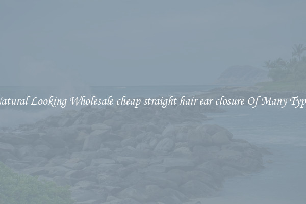 Natural Looking Wholesale cheap straight hair ear closure Of Many Types