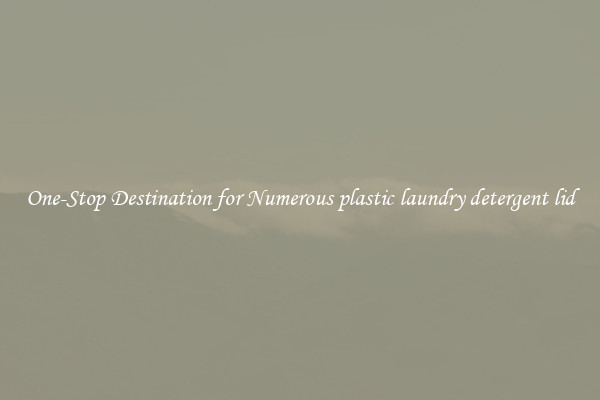 One-Stop Destination for Numerous plastic laundry detergent lid