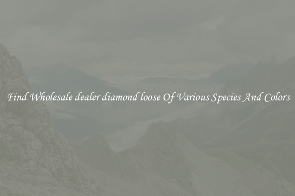 Find Wholesale dealer diamond loose Of Various Species And Colors