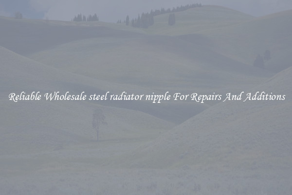 Reliable Wholesale steel radiator nipple For Repairs And Additions